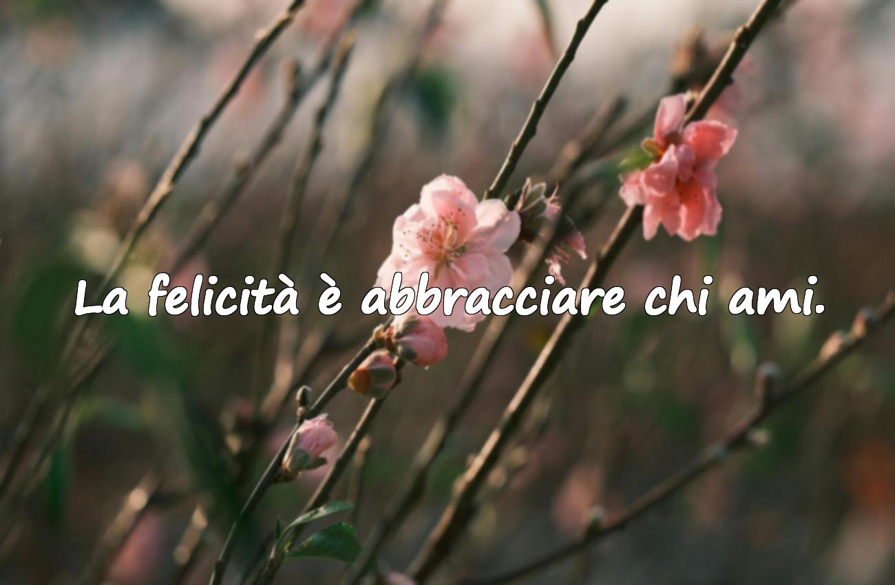 frasi sull’amore e felicità