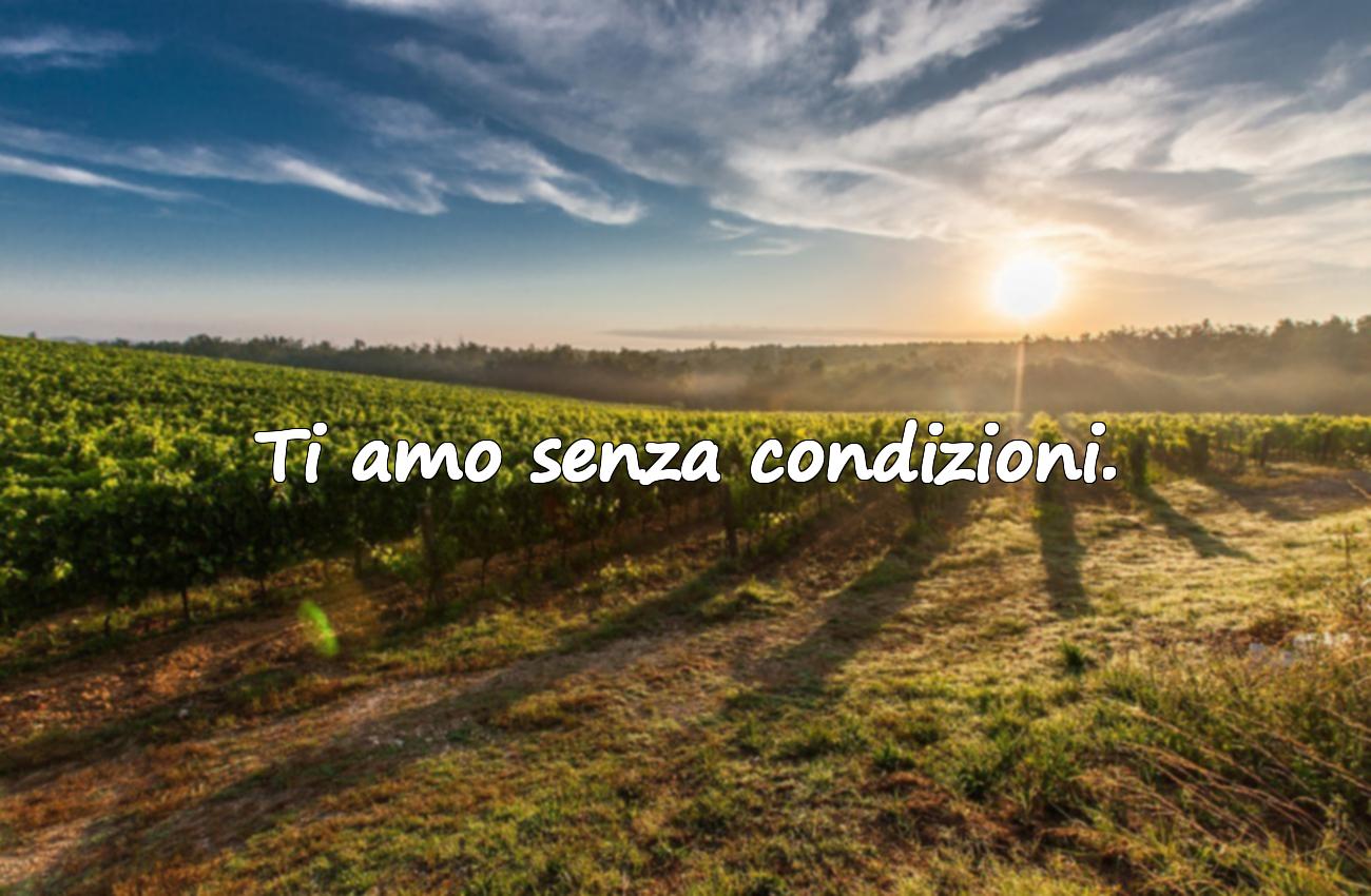 frasi sull’amore platonico