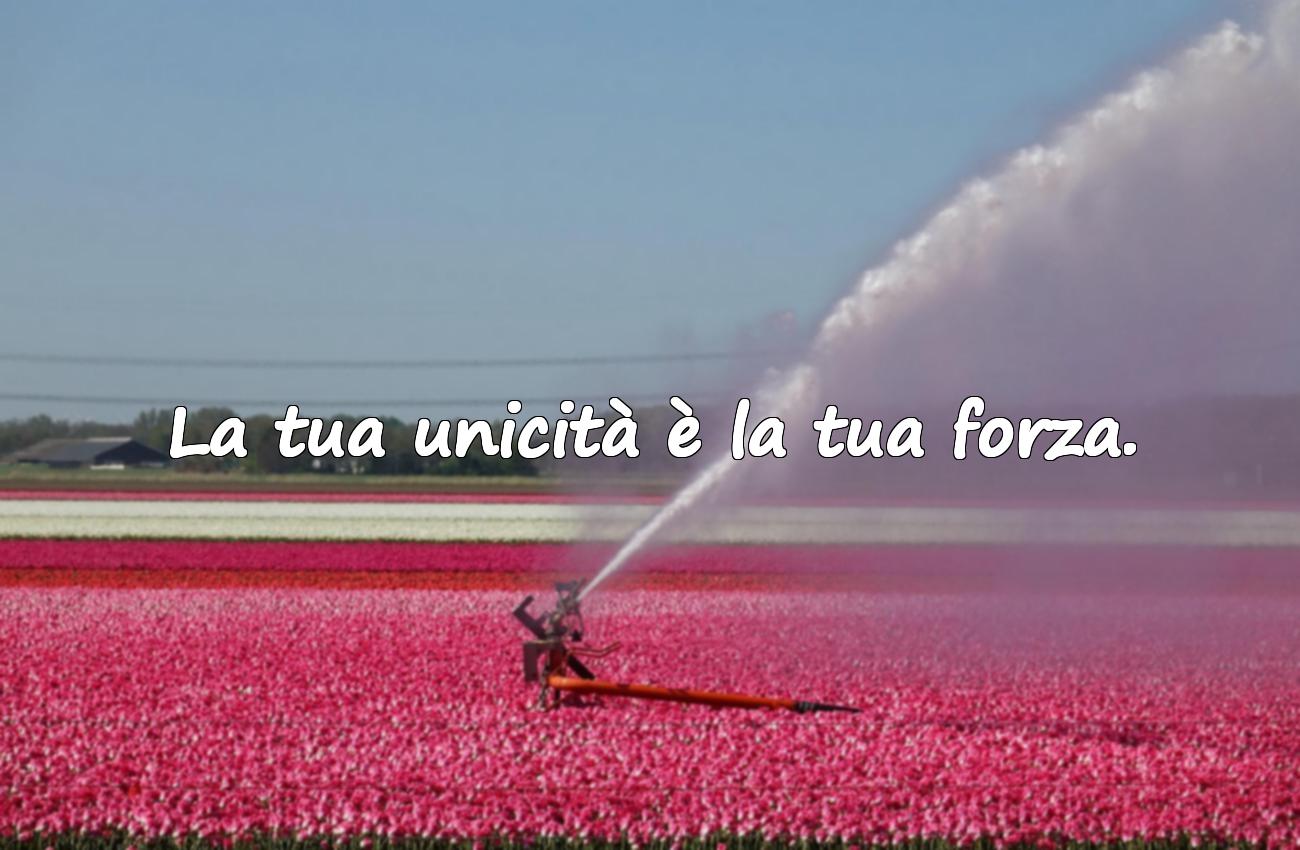frasi sull’autostima