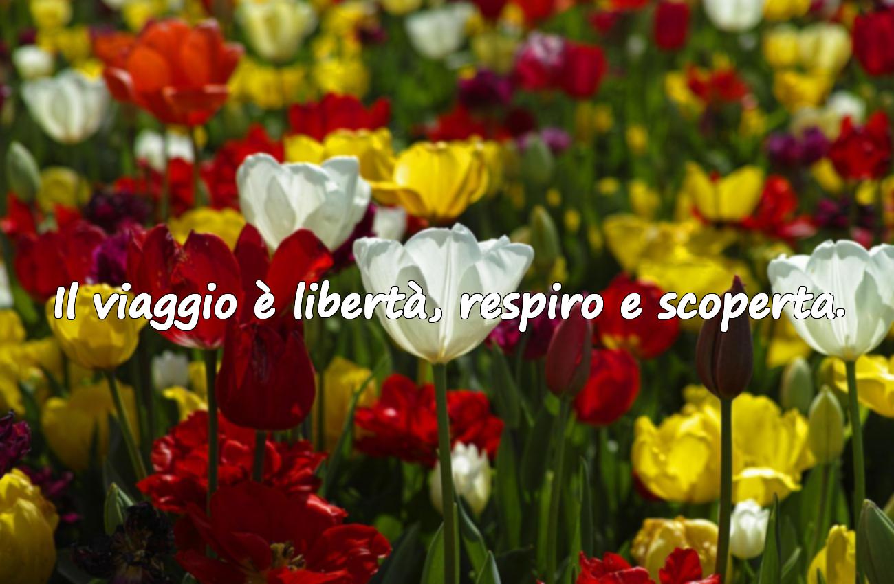 frasi viaggi