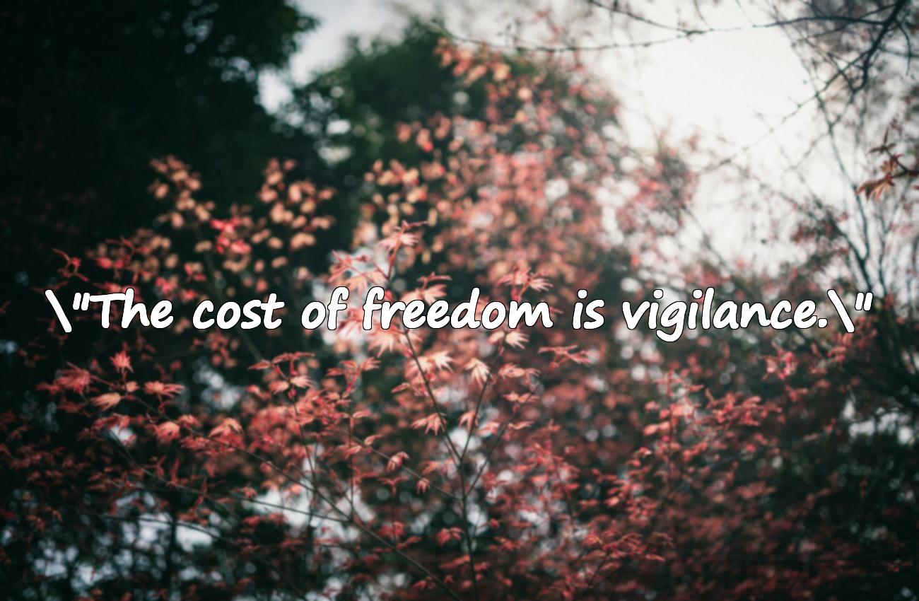 freedom quotes