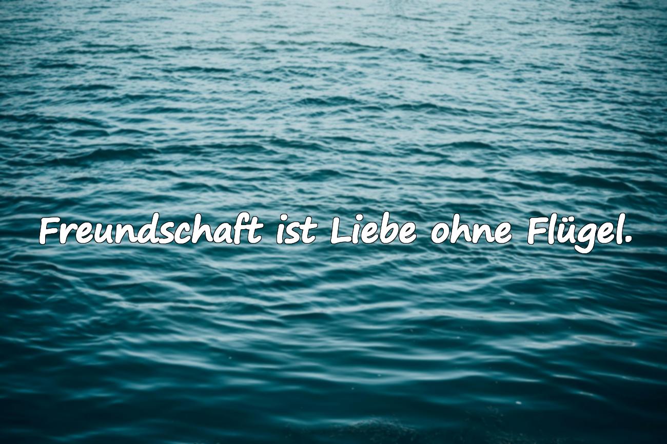 freunde sprüche
