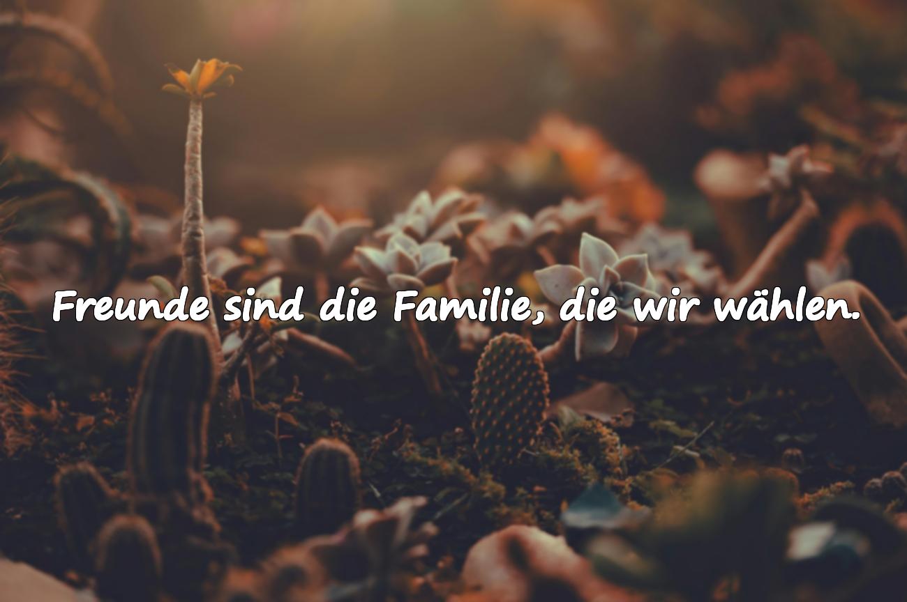 Freundschaft Sprüche