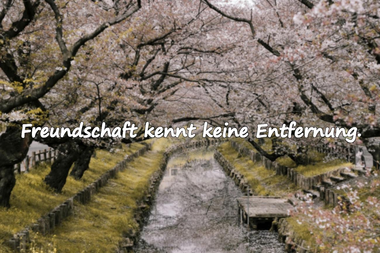 freundschaftssprüche