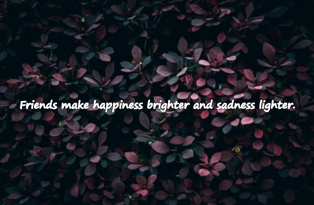 friends happiness quotes