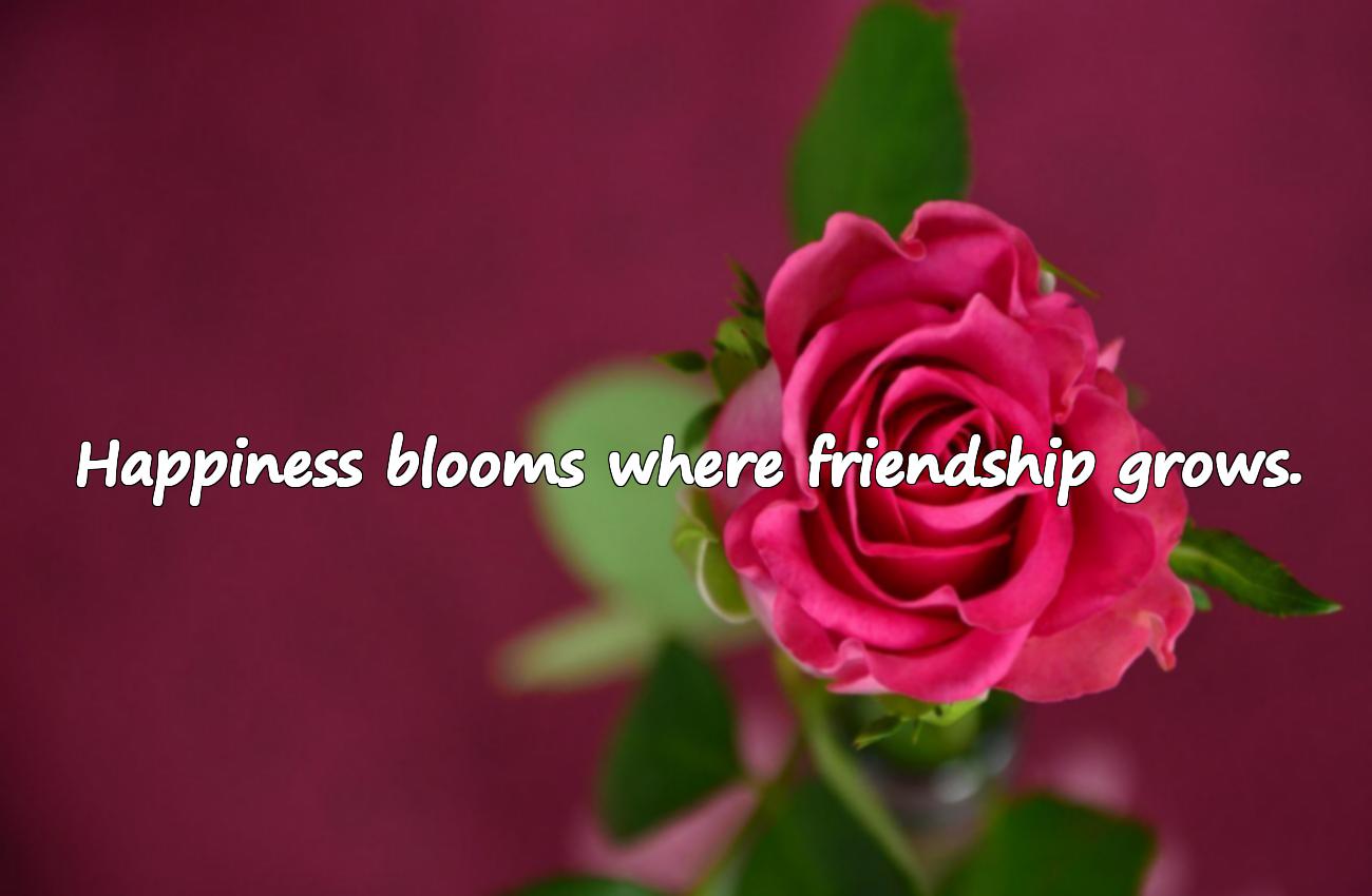 friends happiness quotes