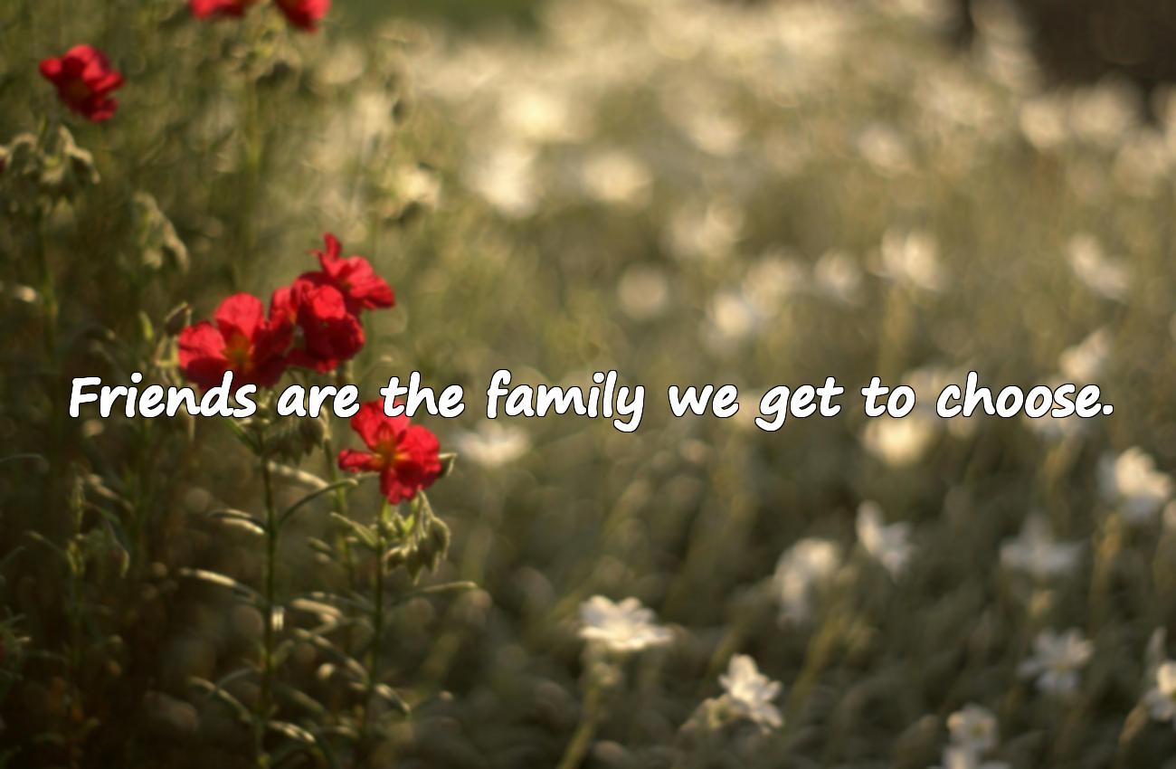 friends quotes about friendship