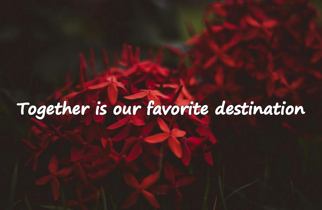 friends travel quotes