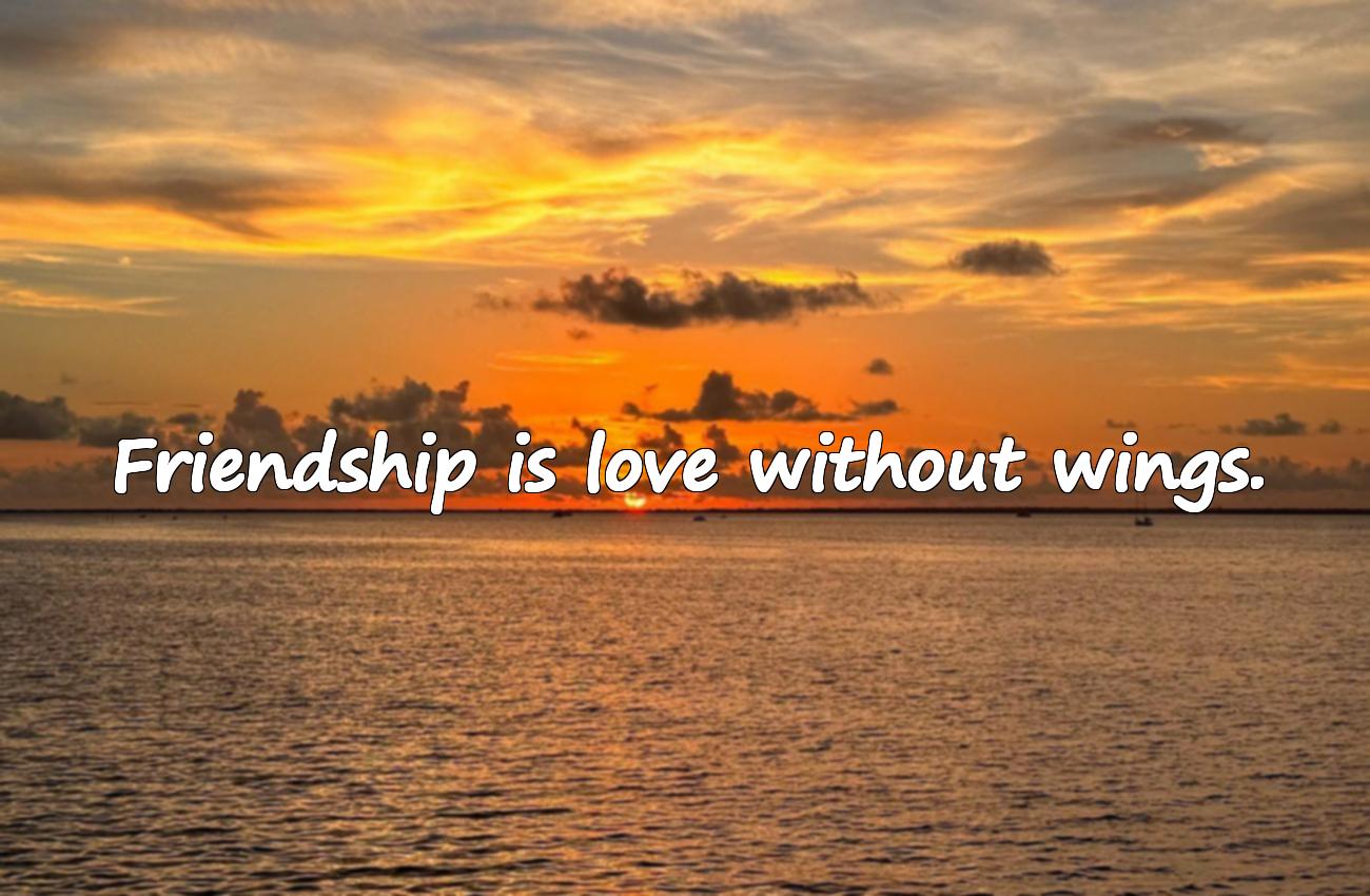 friendship quotes in english