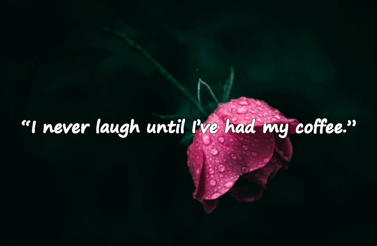 funny coffee quotes