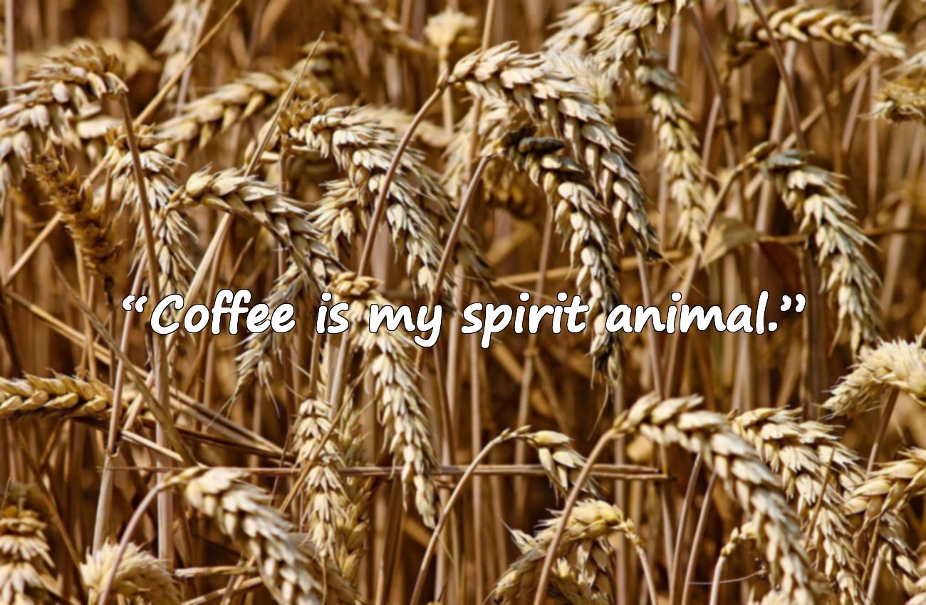 funny sayings coffee