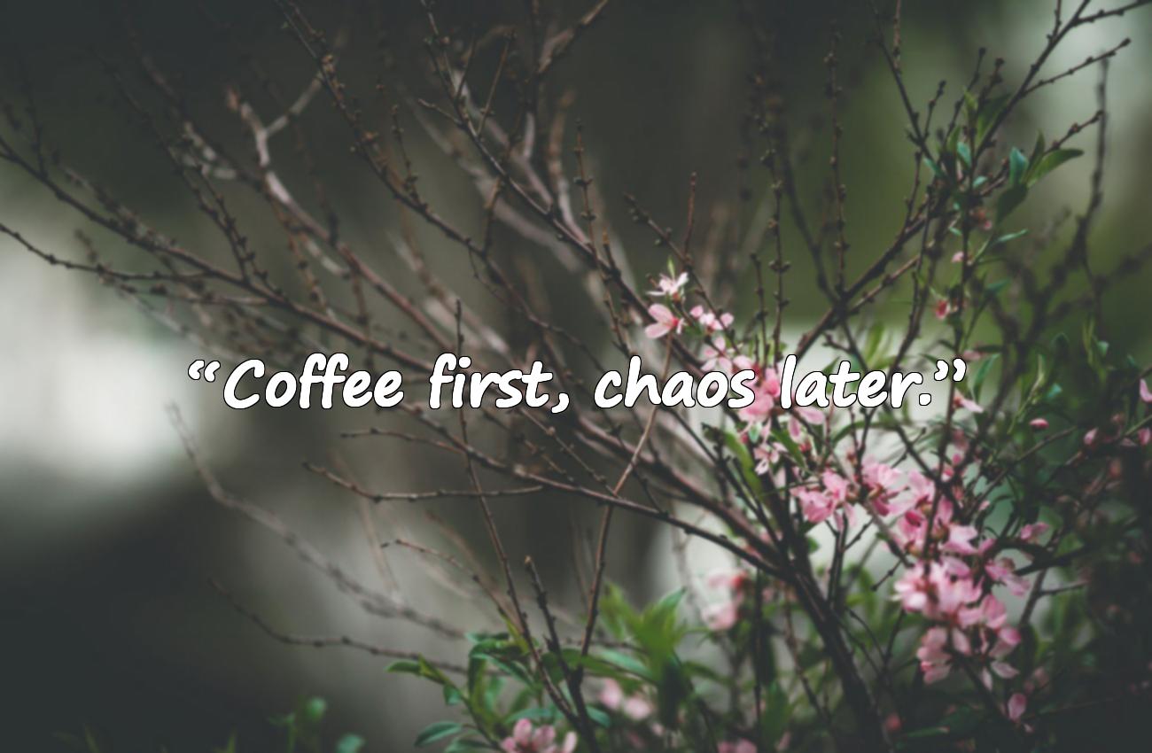 funny sayings coffee