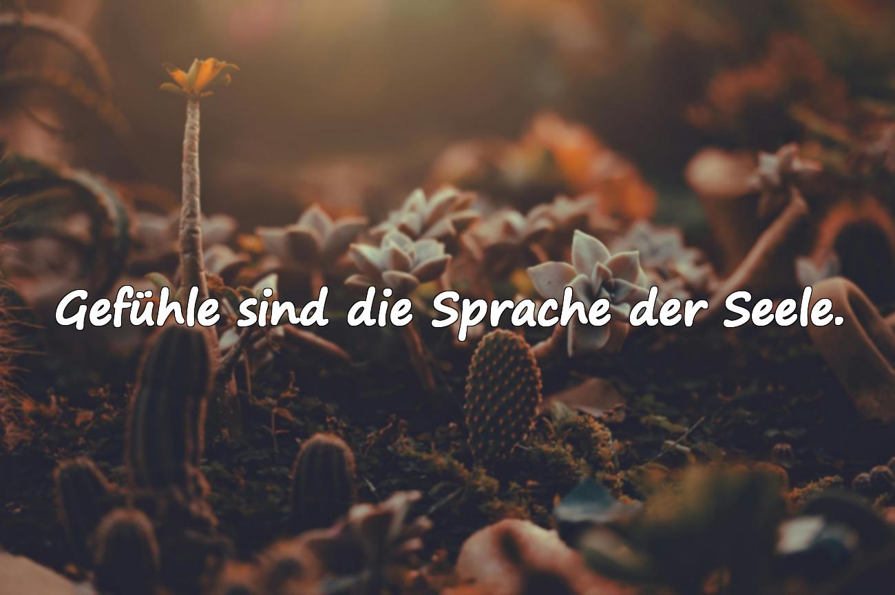 gefühle sprüche