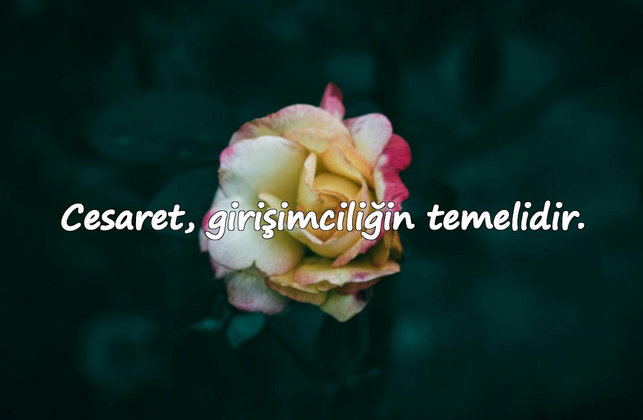 Girişimcilikle İlgili Sözler