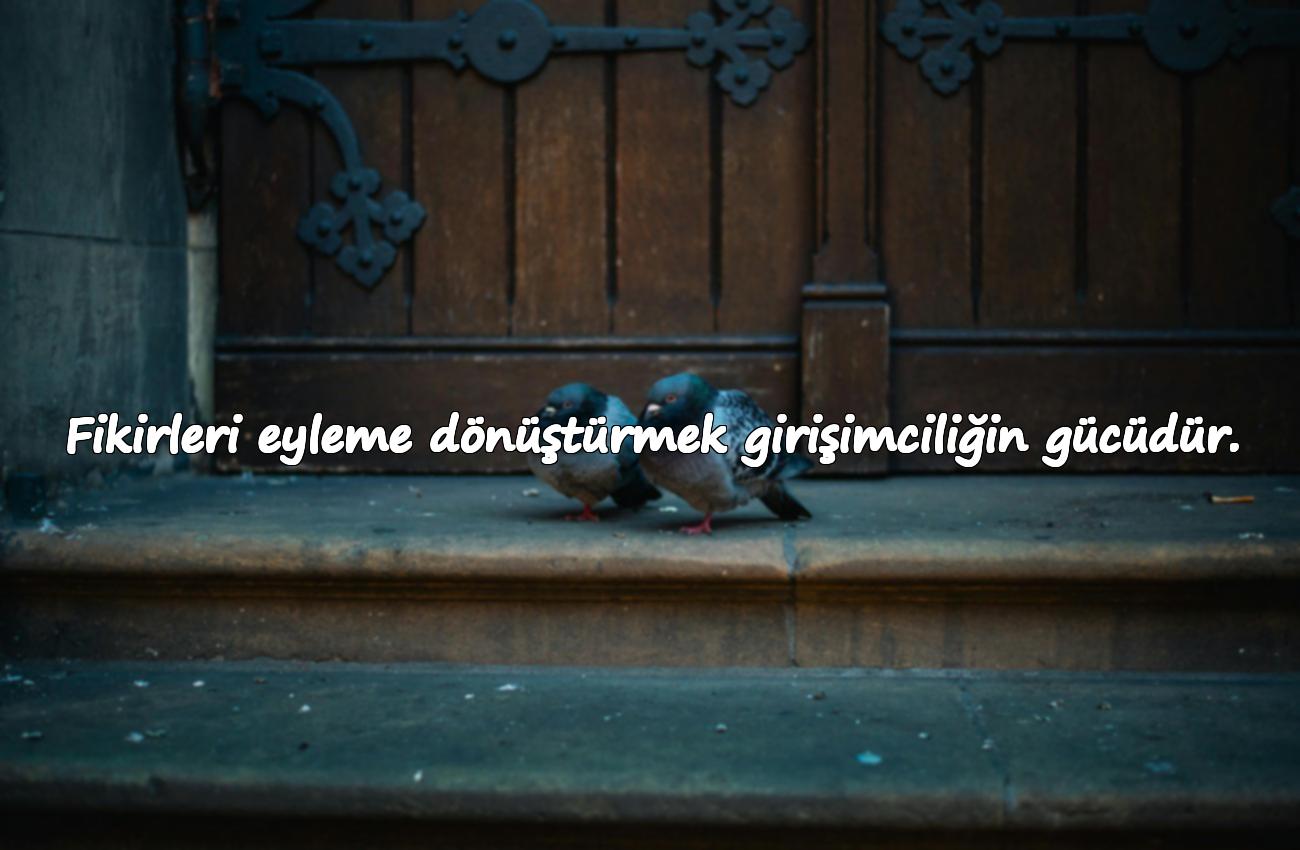 Girişimcilikle İlgili Sözler