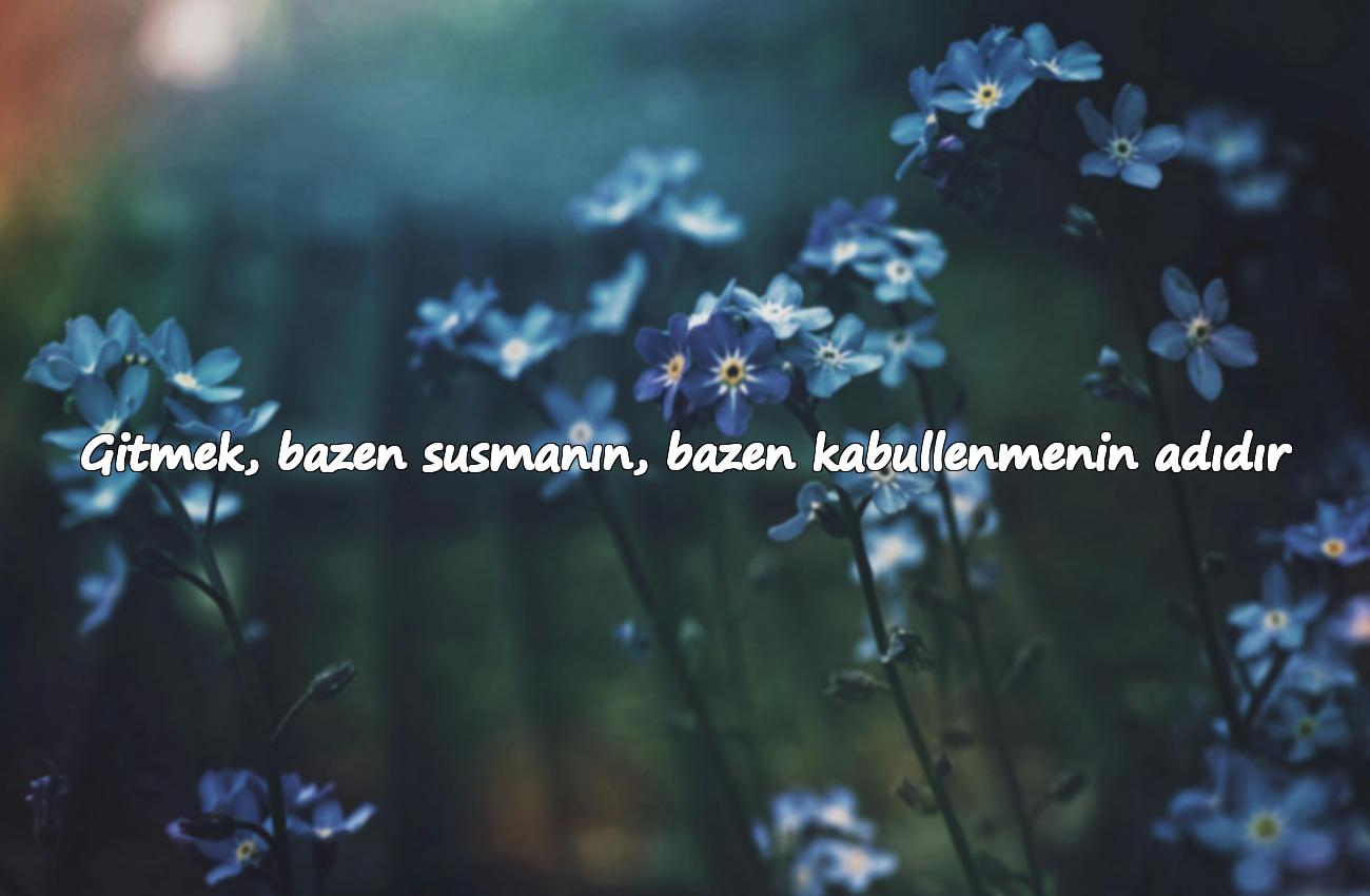 gitmek ile ilgili sözler