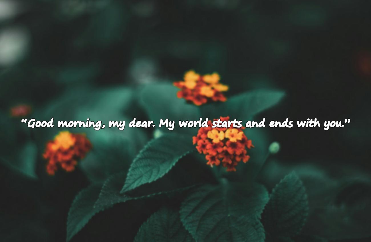 good morning images for love