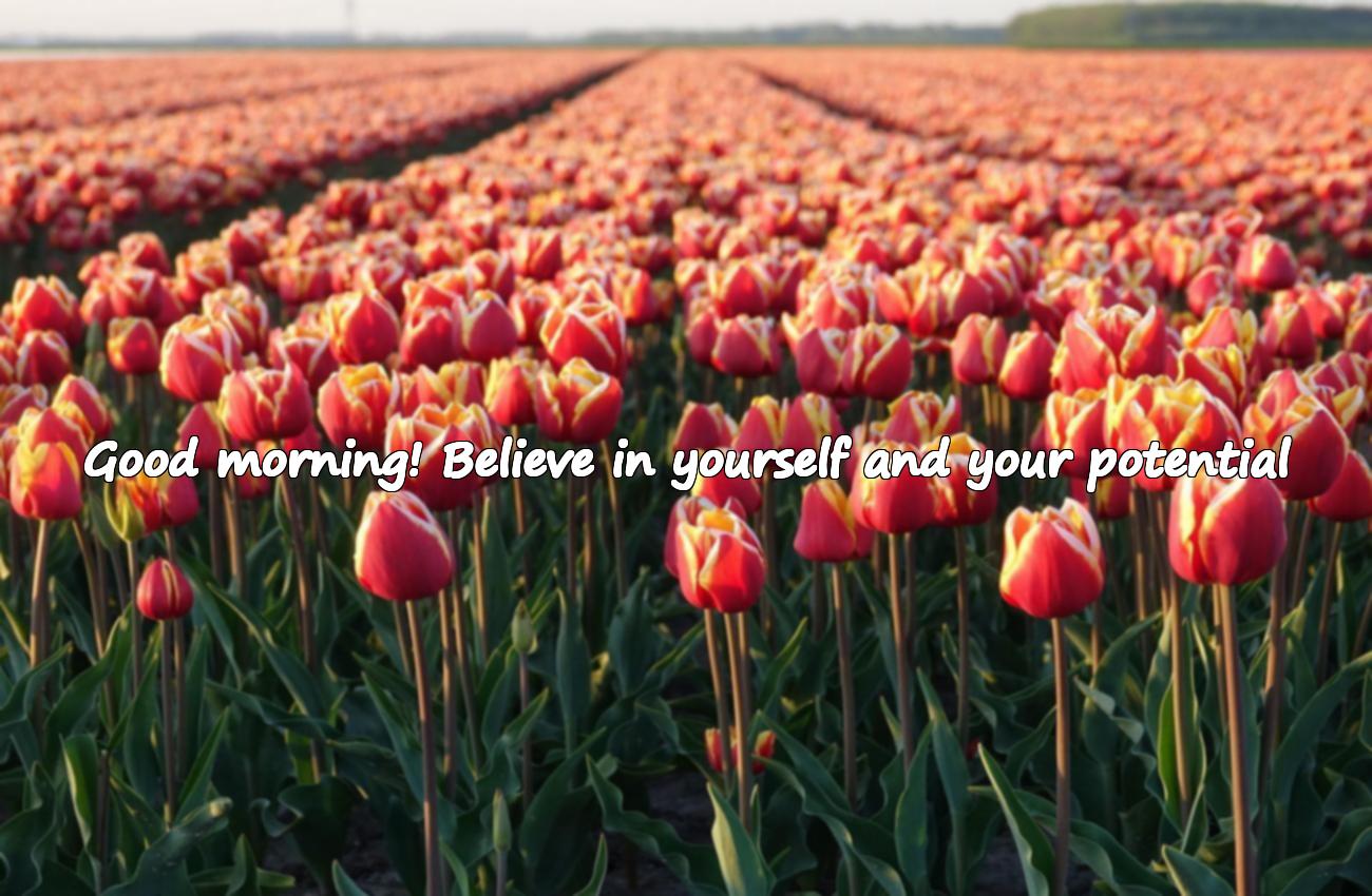 good morning images with quotes