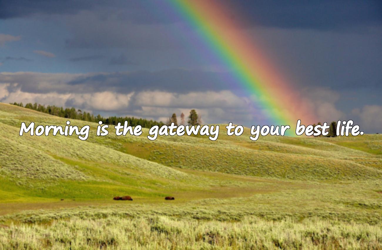 good morning morning quotes