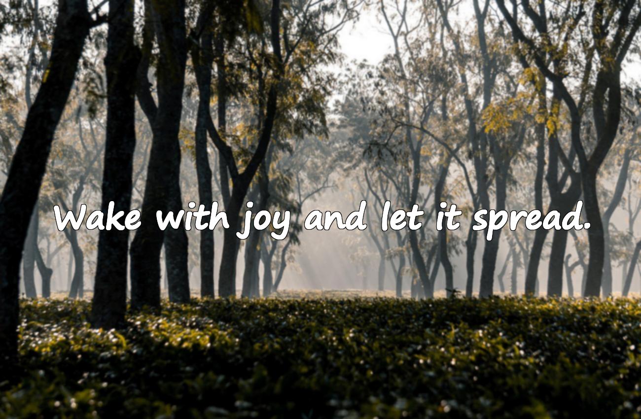 good morning morning quotes