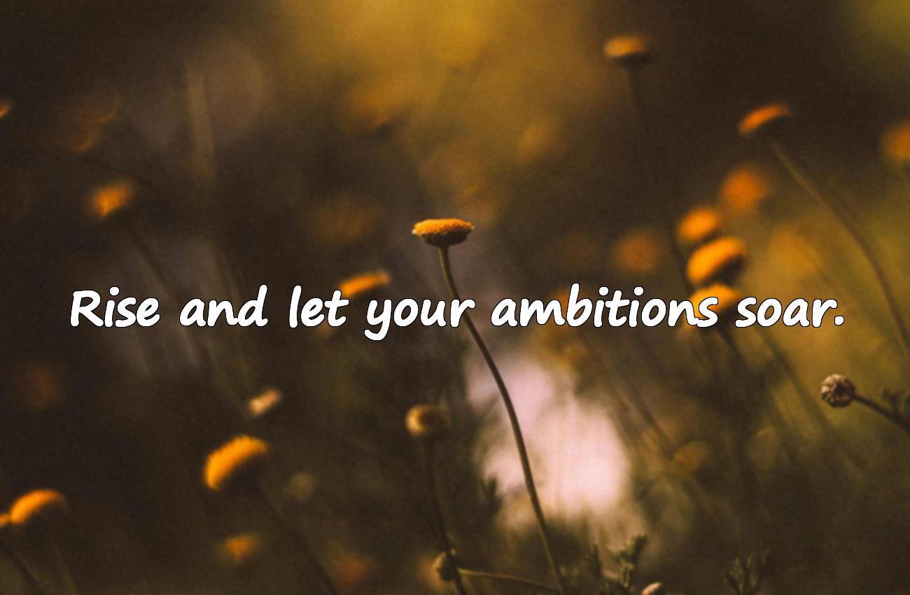 good morning morning quotes