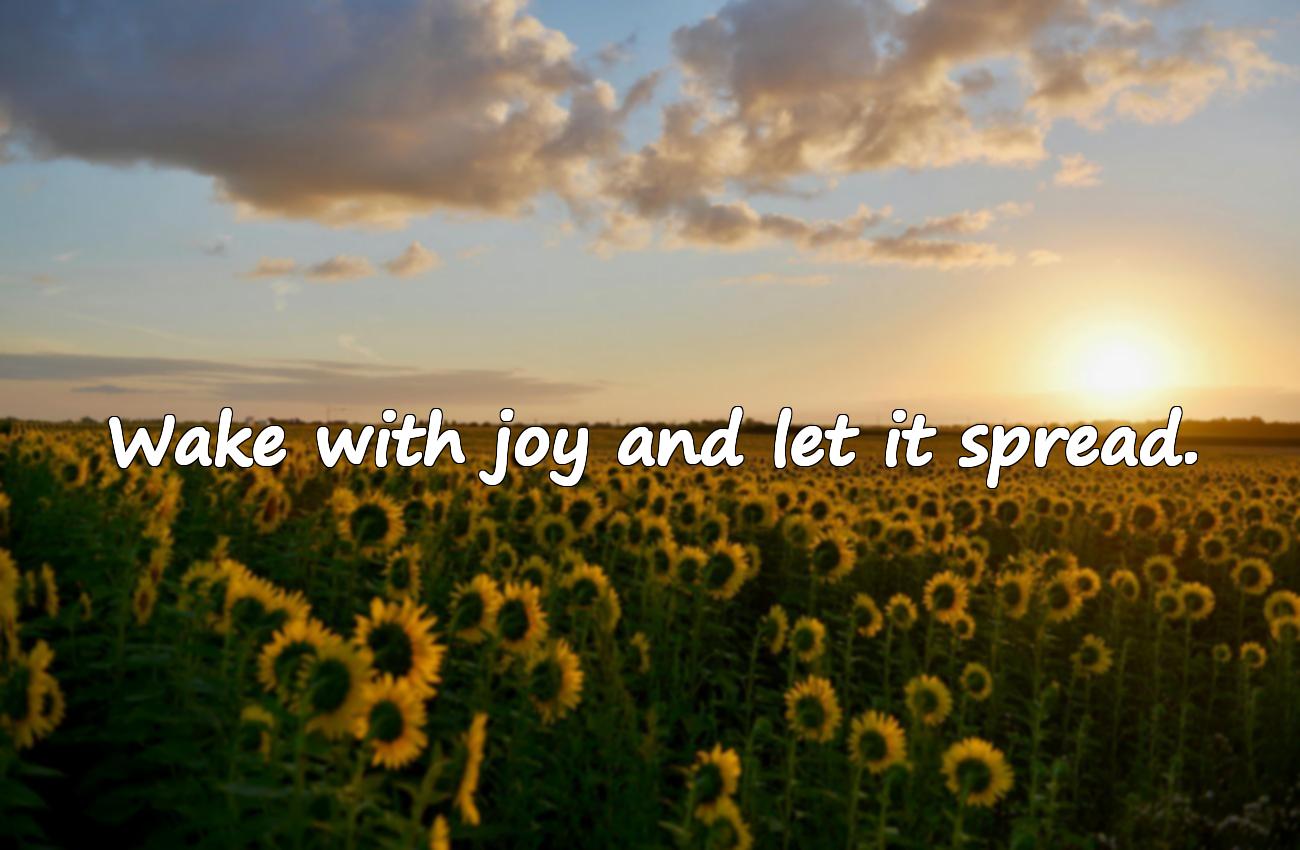 good morning morning quotes