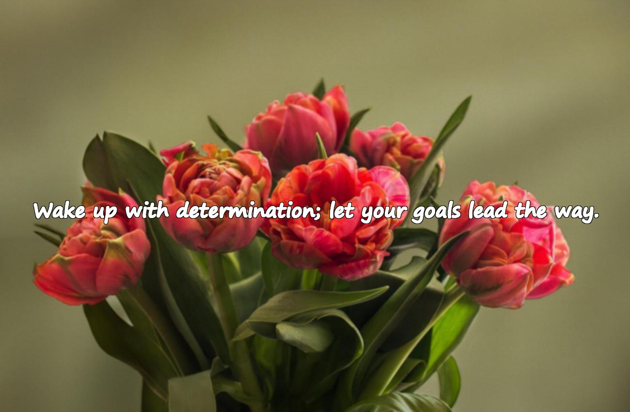 good morning motivation quotes