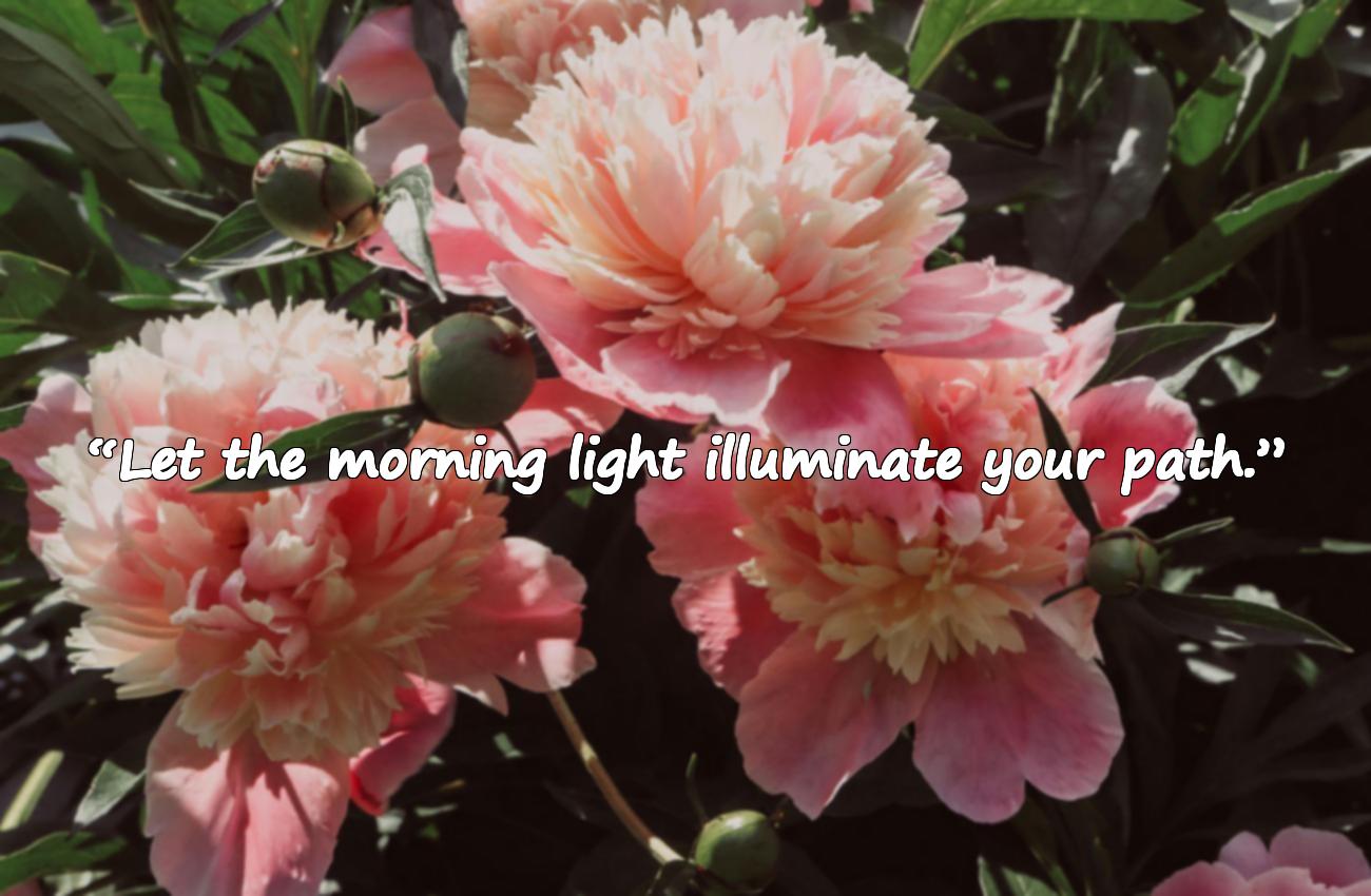 good morning quatation