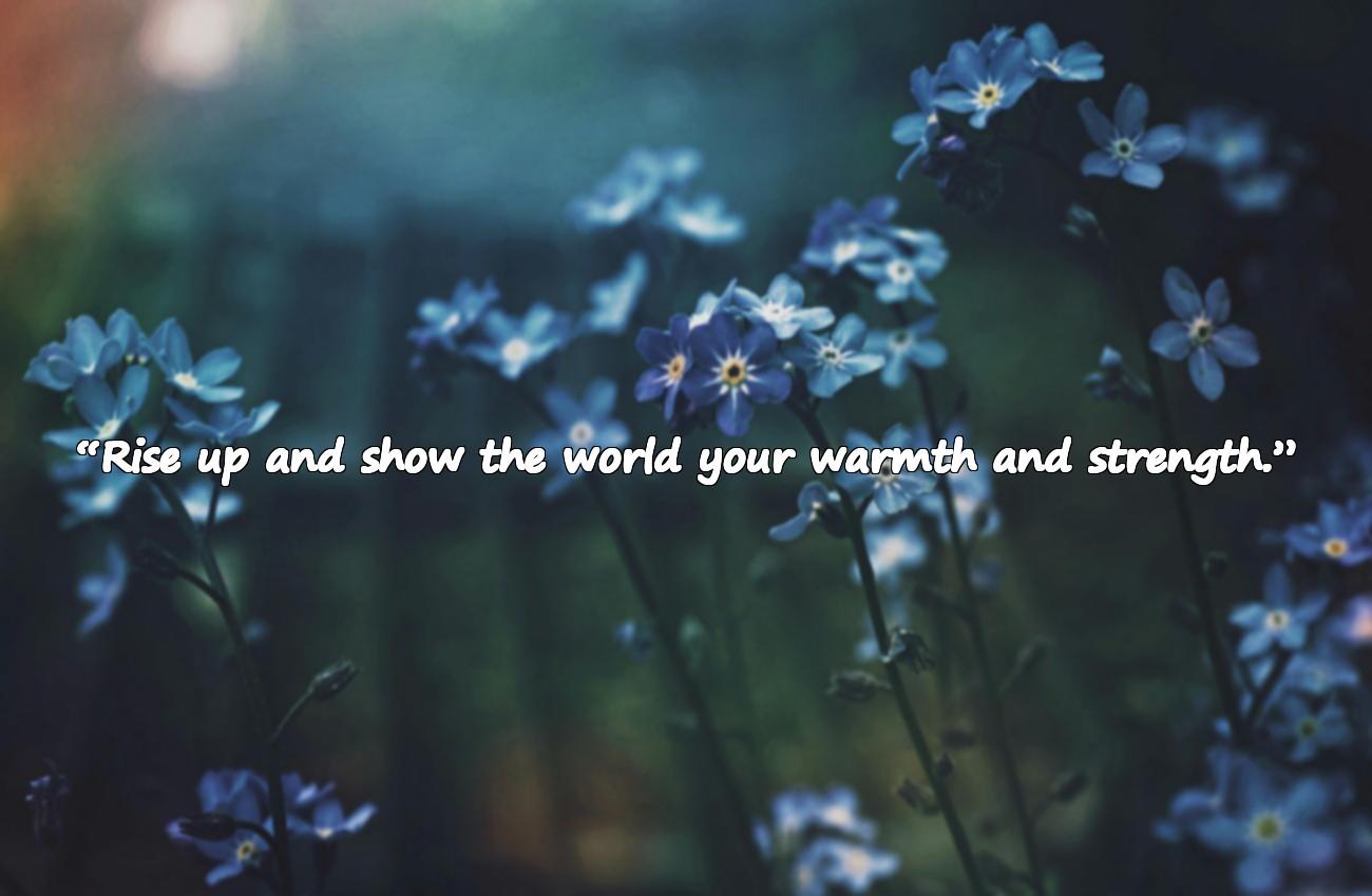 good morning quotes and images