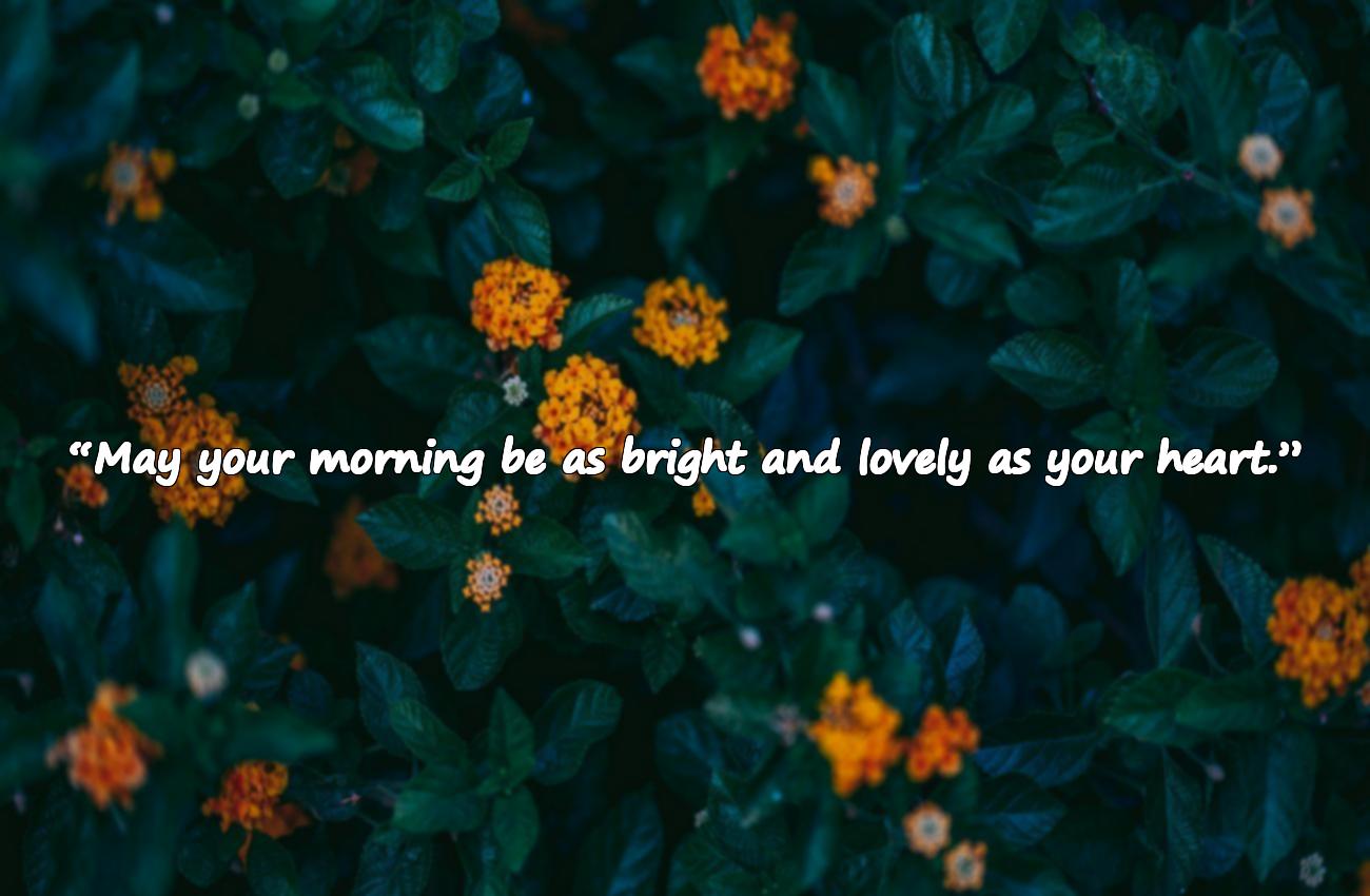 good morning quotes for love