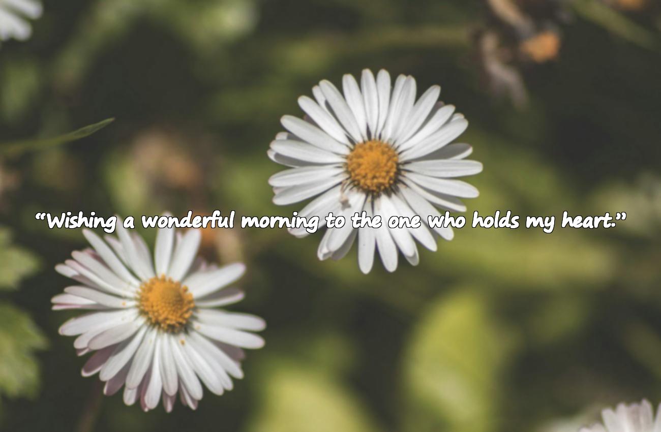 good morning quotes for love