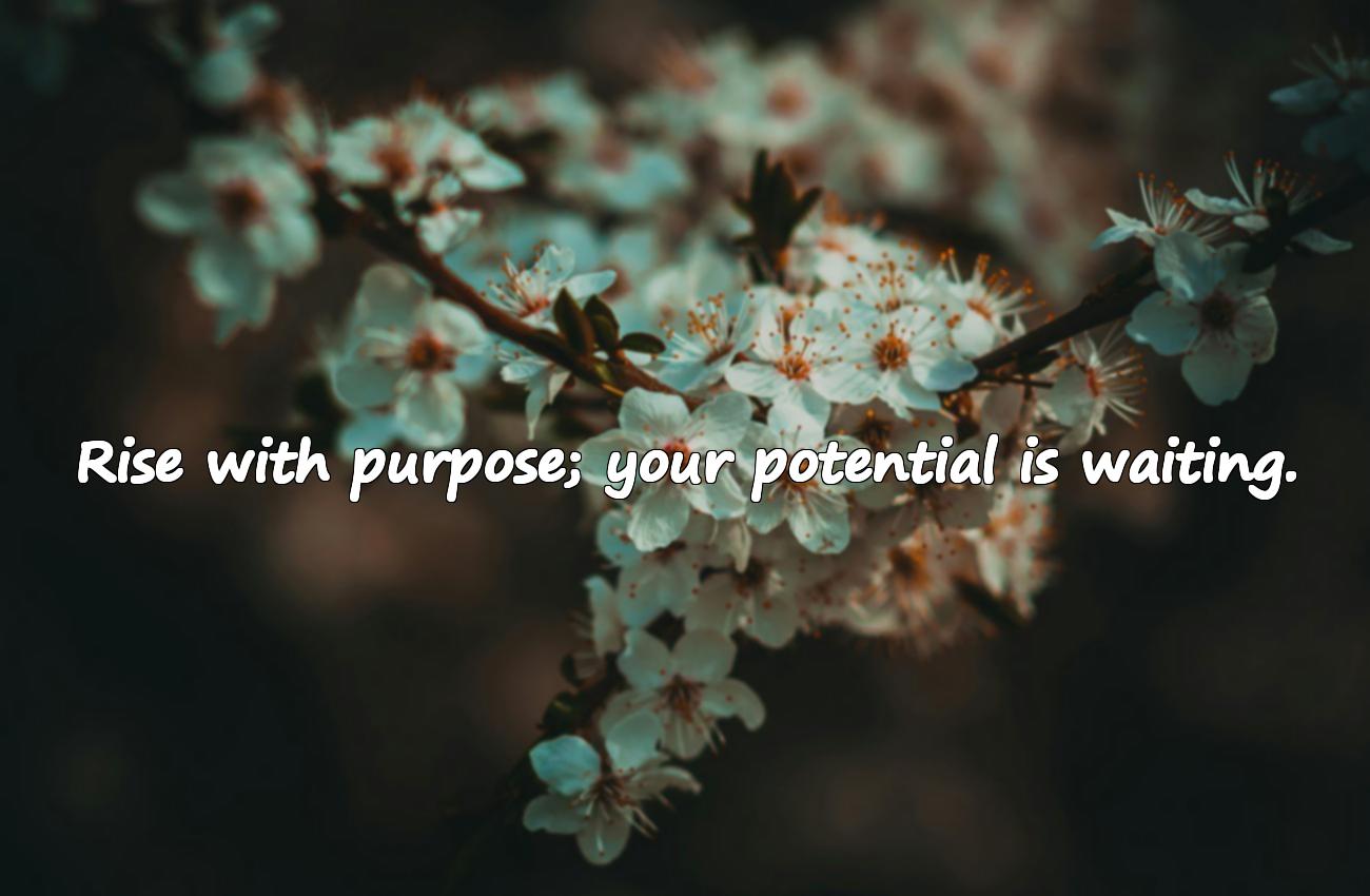 good morning quotes inspirational