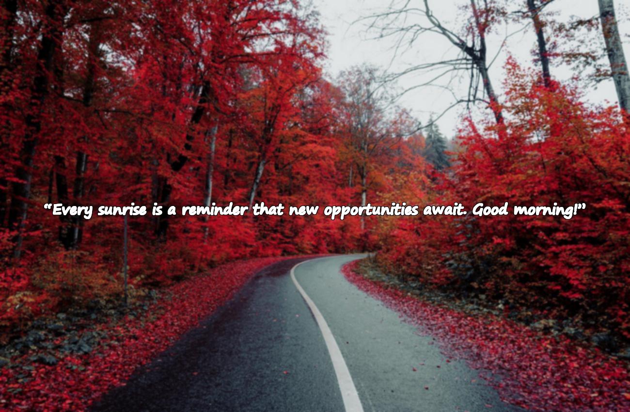 good morning text msg