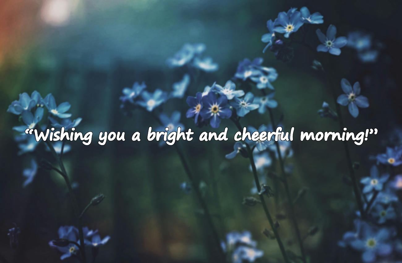 good morning wishes