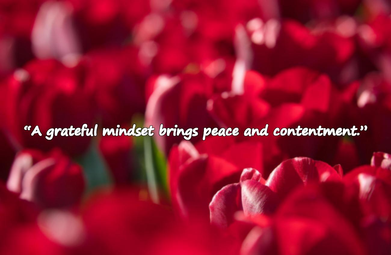 grateful quotes