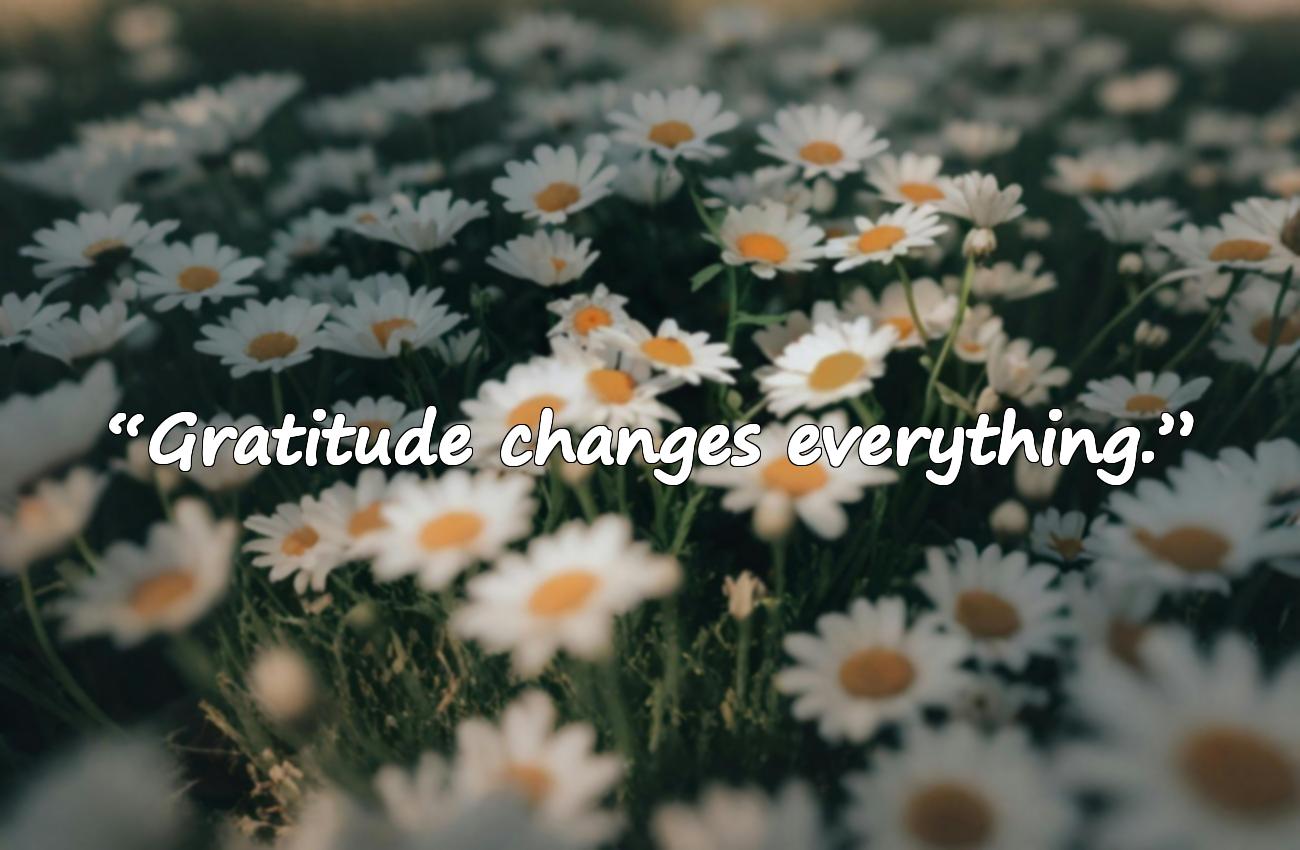 gratitude quotes