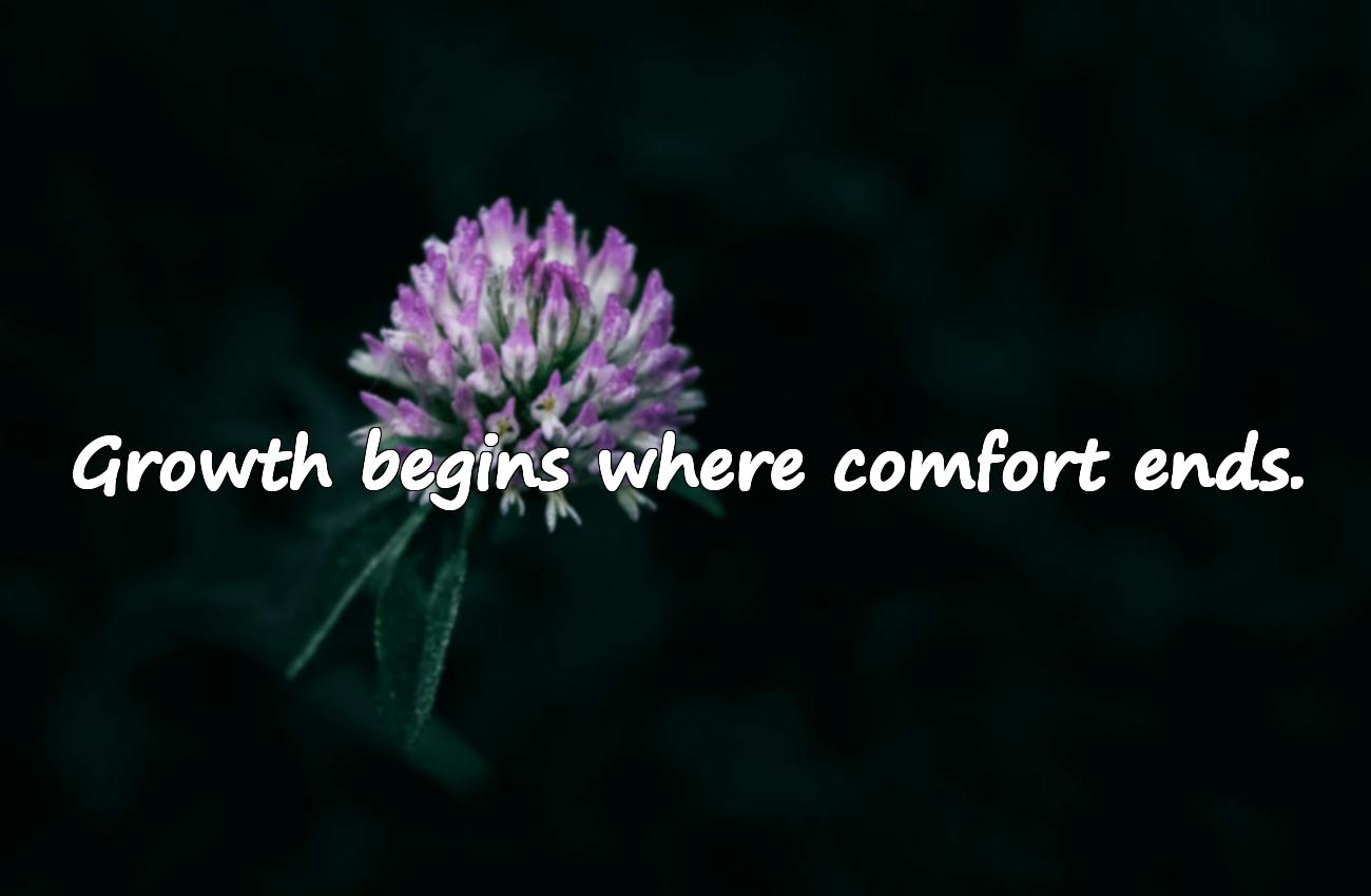 great quotes about life