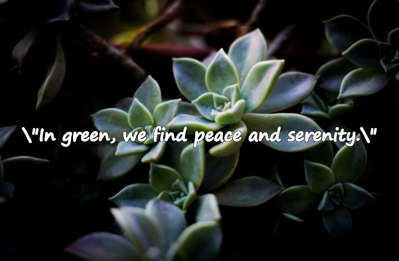 green quotes