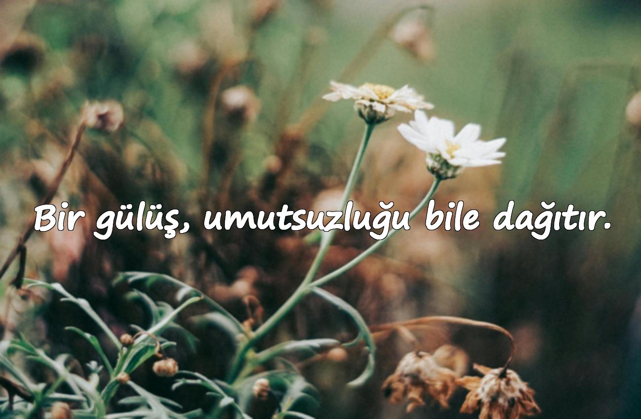 gülmek ile ilgili sözler