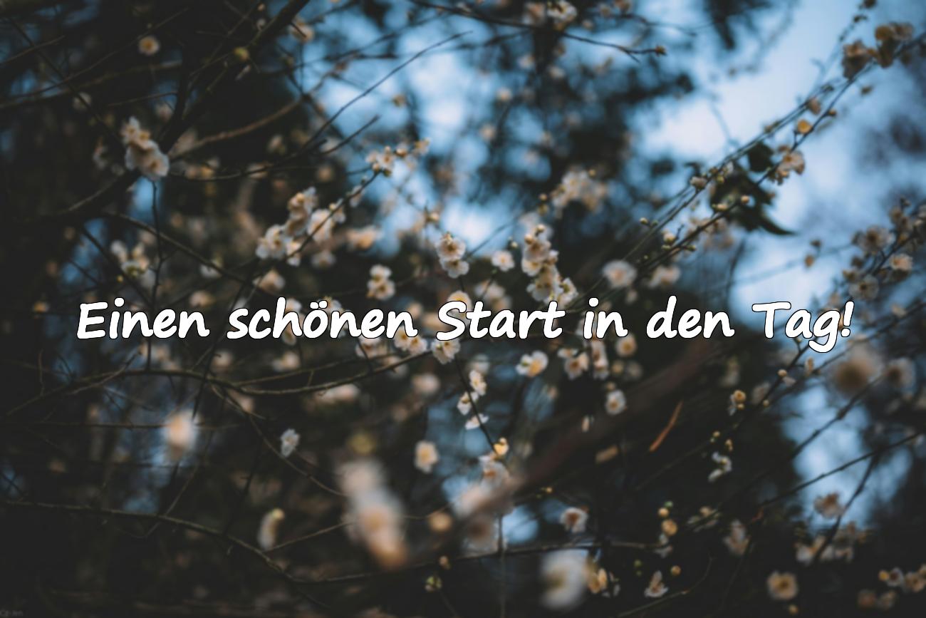 Guten Morgen Grüße