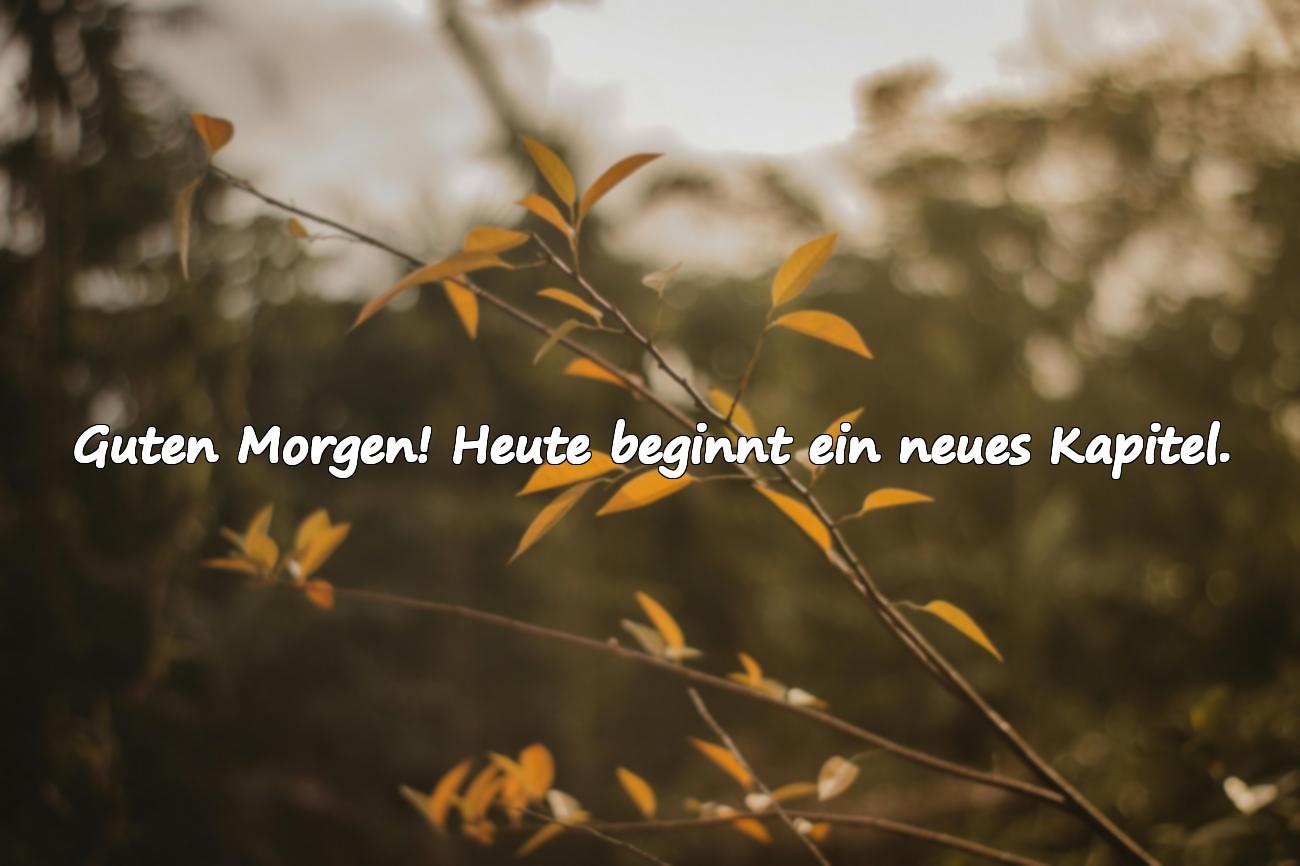 Guten Morgen Grüße