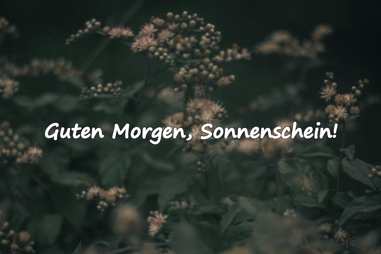 Guten Morgen Schatz Sprüche