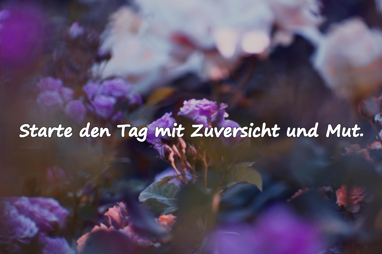 Guten Morgen Sprüche