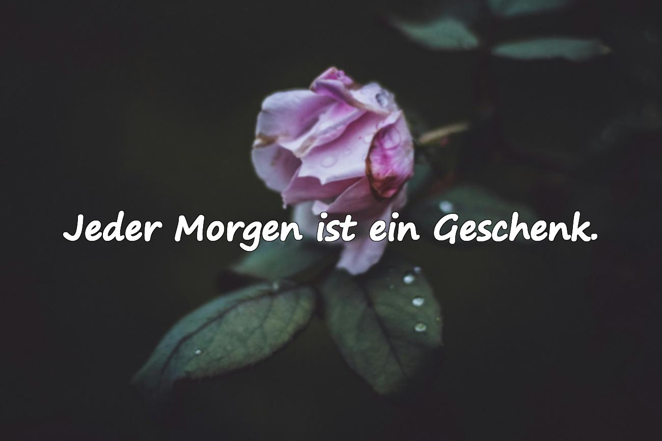 Guten Morgen Sprüche