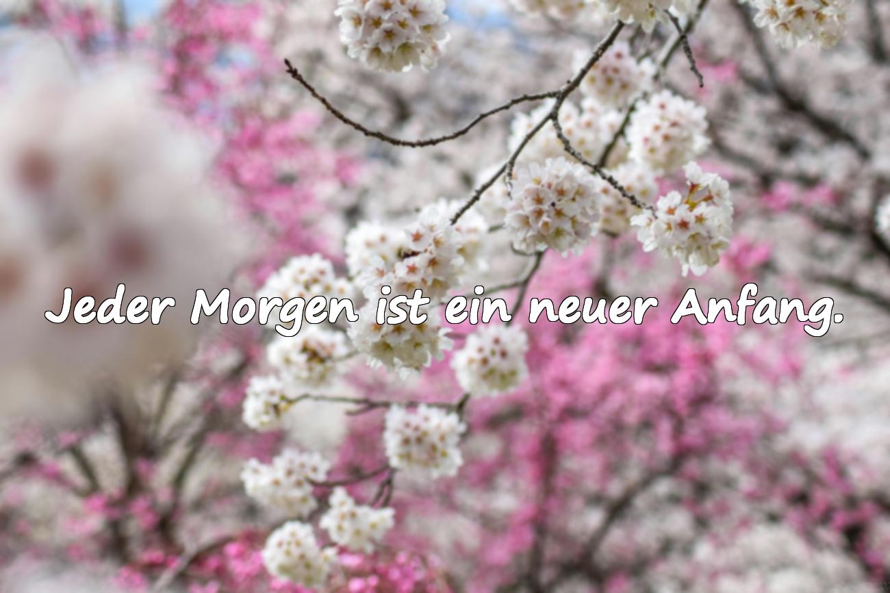 Guten Morgen Sprüche