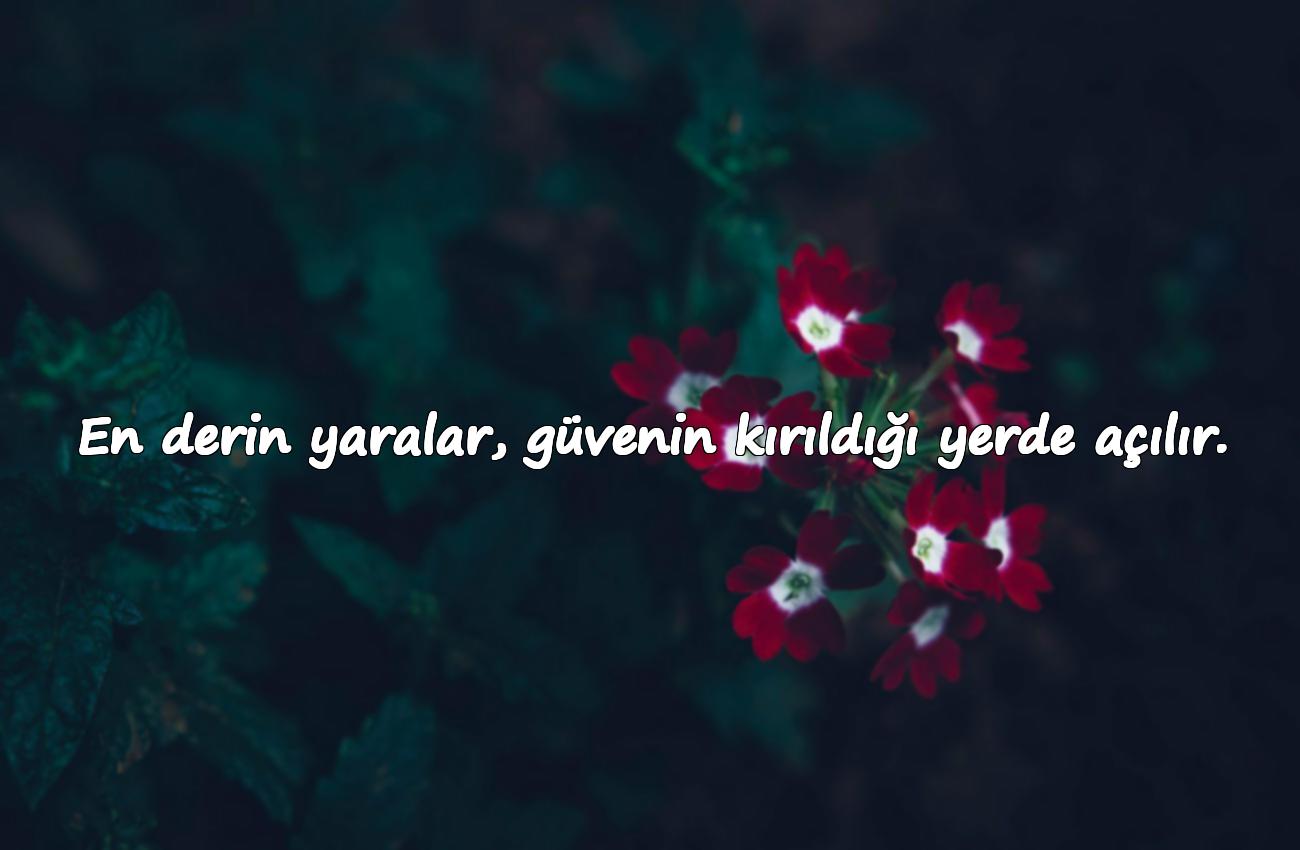 güven kırıklığı ile ilgili sözler