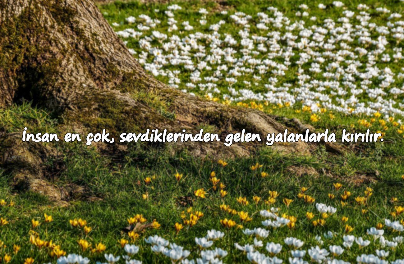 güven ve yalanla ilgili sözler