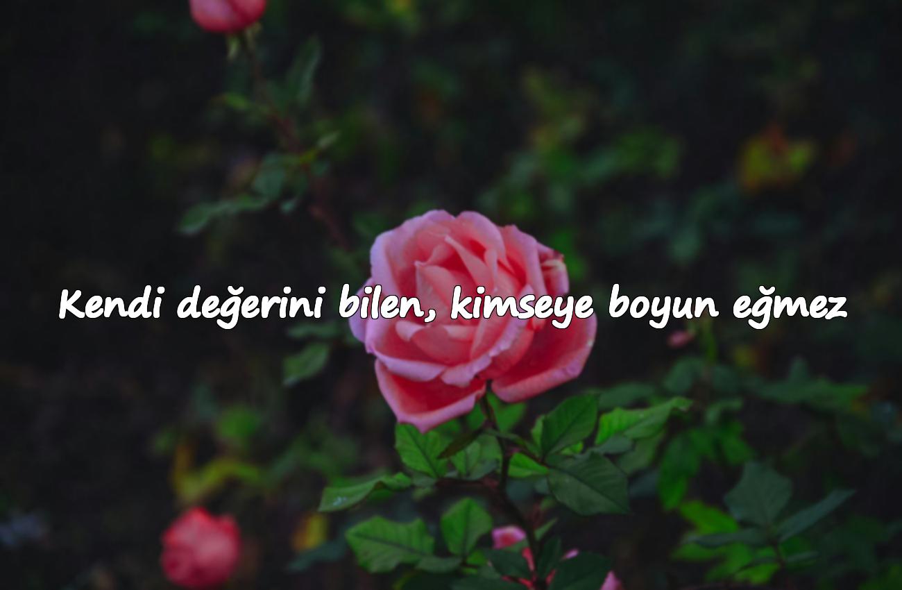 güzel anlamlı sözler