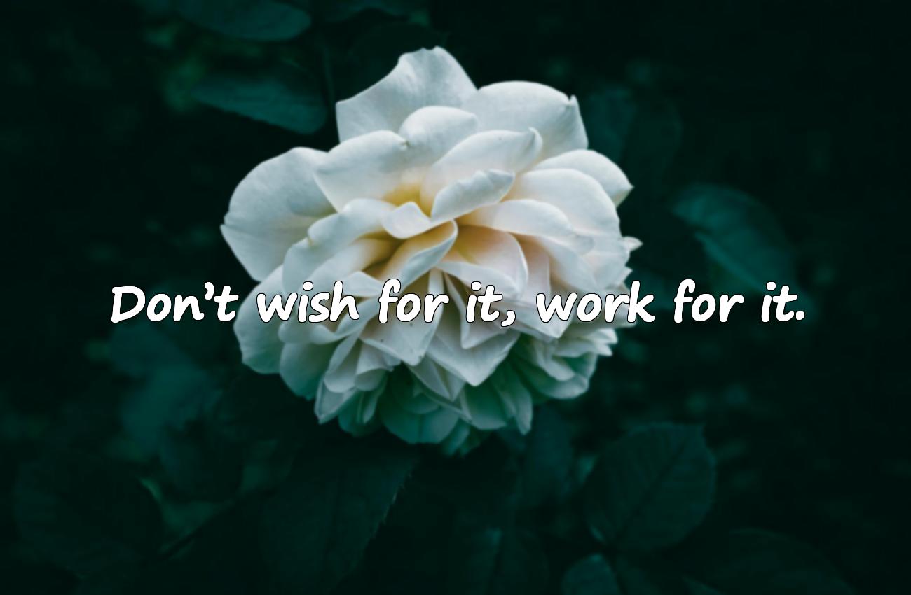 gym motivational phrases