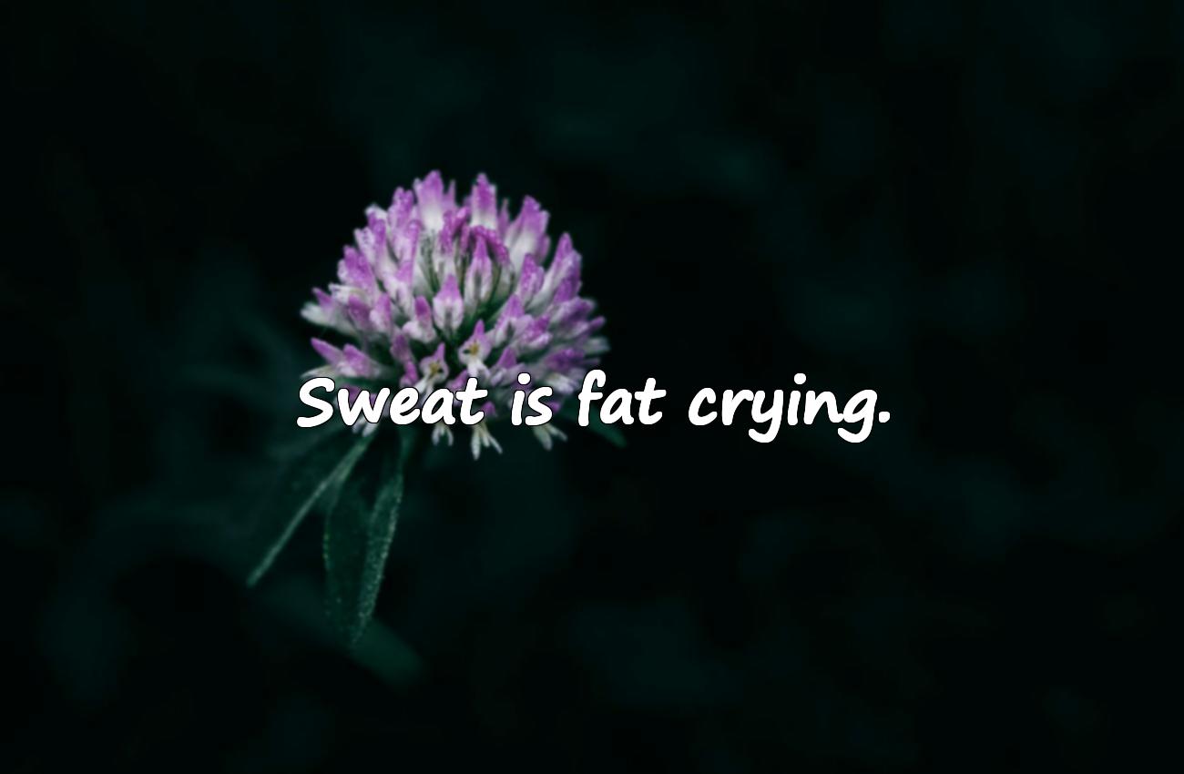 gym motivational phrases